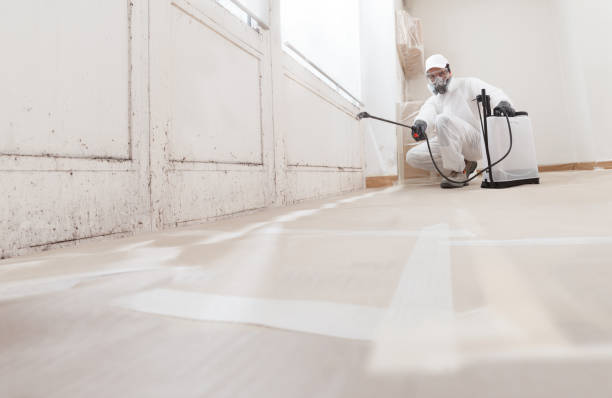 24/7 Emergency Black Mold Remediation experts in Annandale, VA