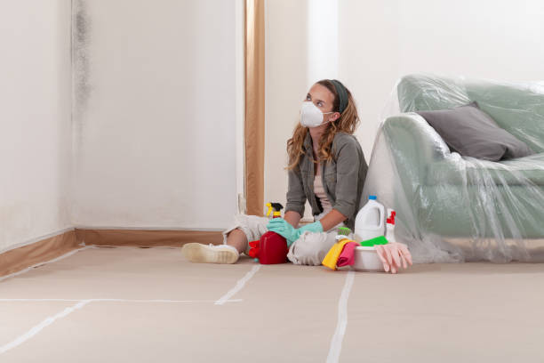 Reliable Black Mold Remediation contractor in Annandale, VA by 24 Hour Mold Removal